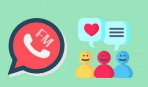 Download FM WhatsApp: The Key to Superior Chatting